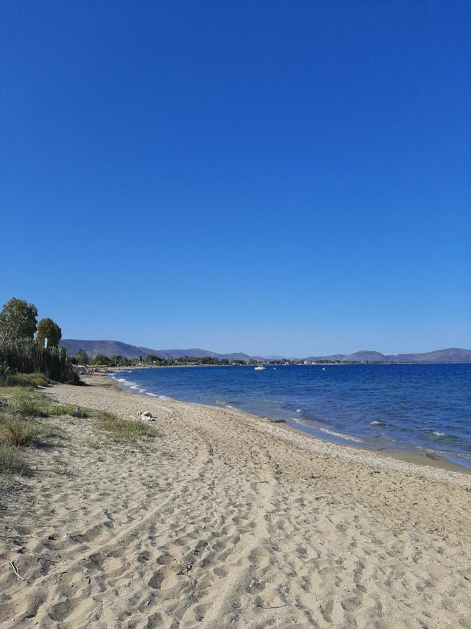 Cozy Flat In Nea Makri Lejlighed Eksteriør billede